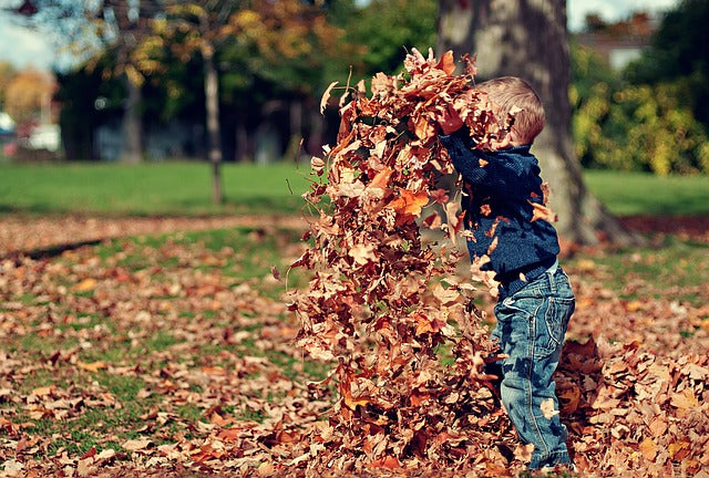 El valor del dinero para los niños